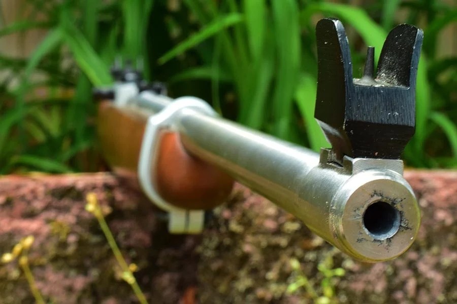 Best upgrade for Ruger 10/22? Tech Sights