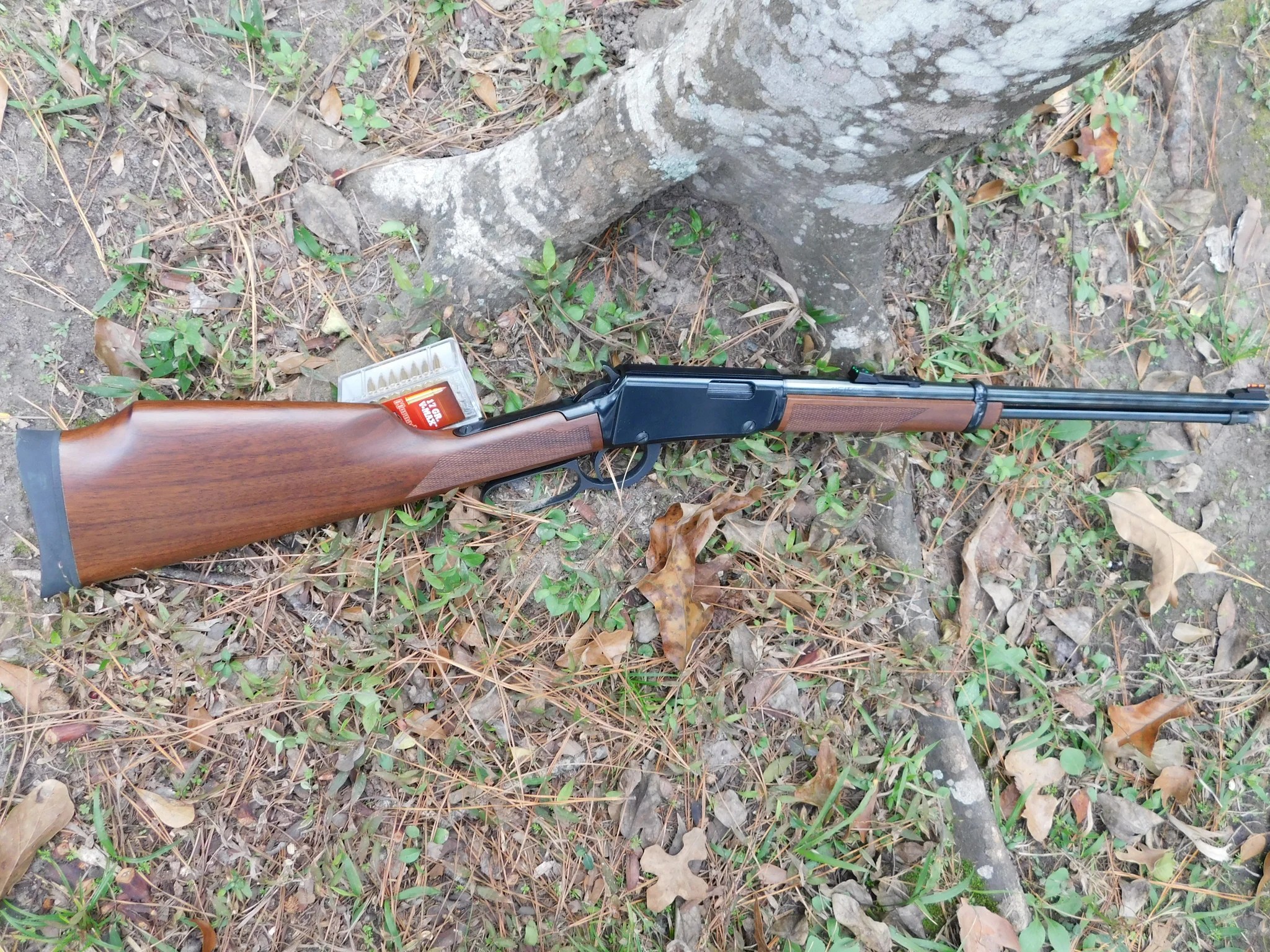 Gun Review Henry Varmint Express 17 HMR