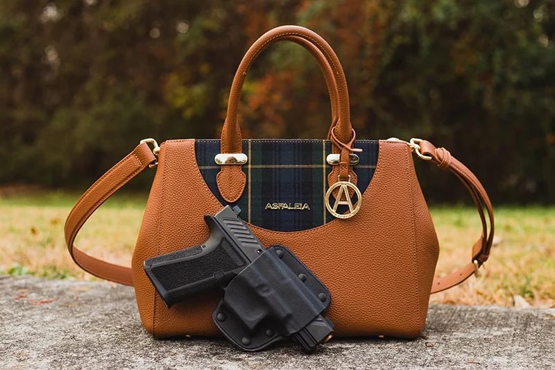 Actualizar 46+ imagen concealed carry purses coach