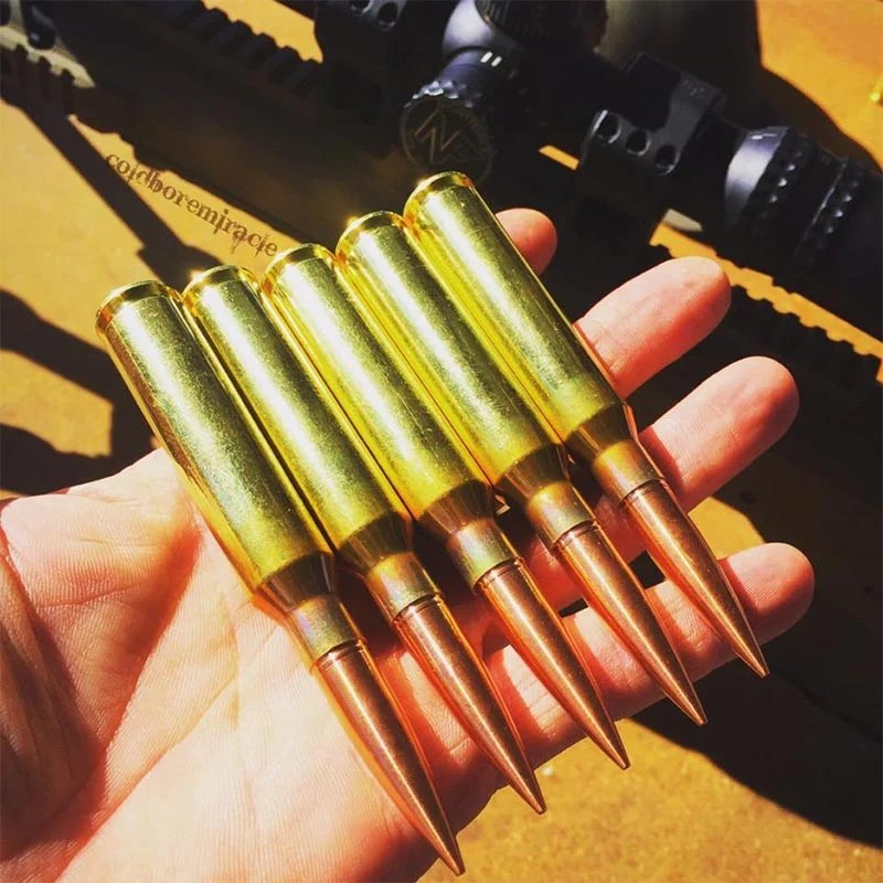 What is a Large Caliber Firearm and Why Do I Need One?