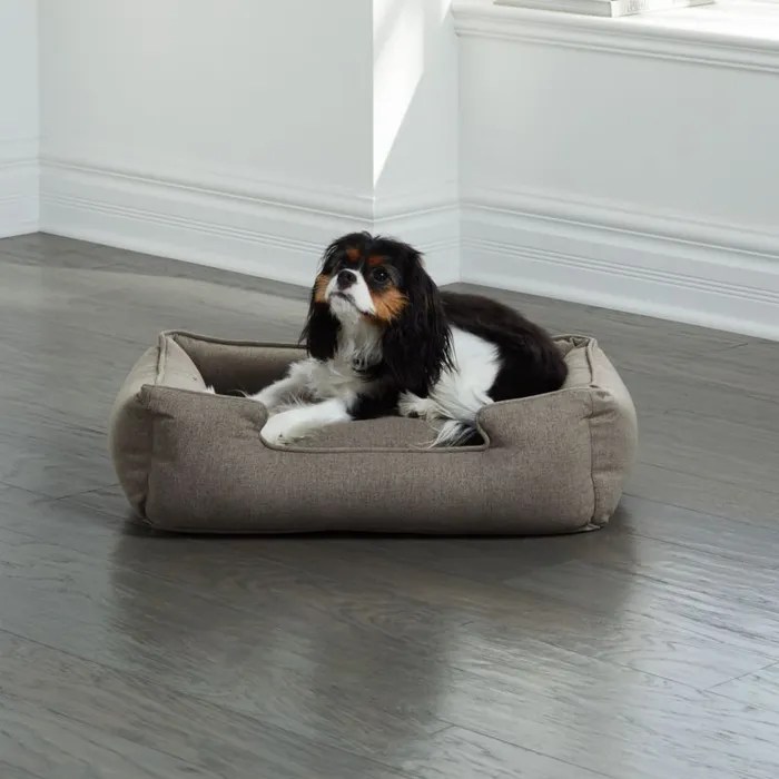 Lounge Groundhog Large Dog Bed Crate and Barrel