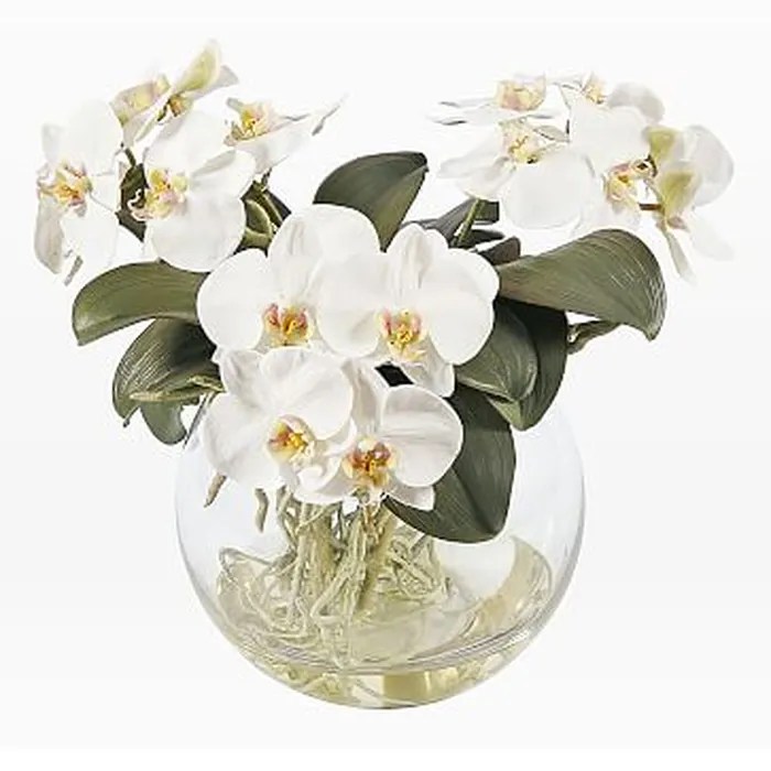 Faux Orchid in Round Vase, White West Elm