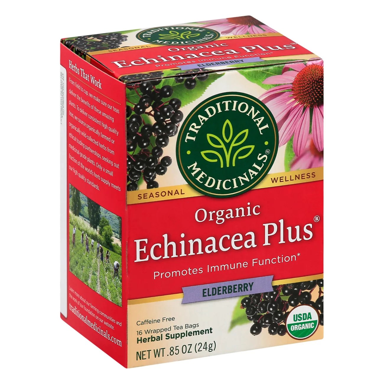 Traditional Medicinals Organic Echinacea Plus Elderberry Herbal Tea