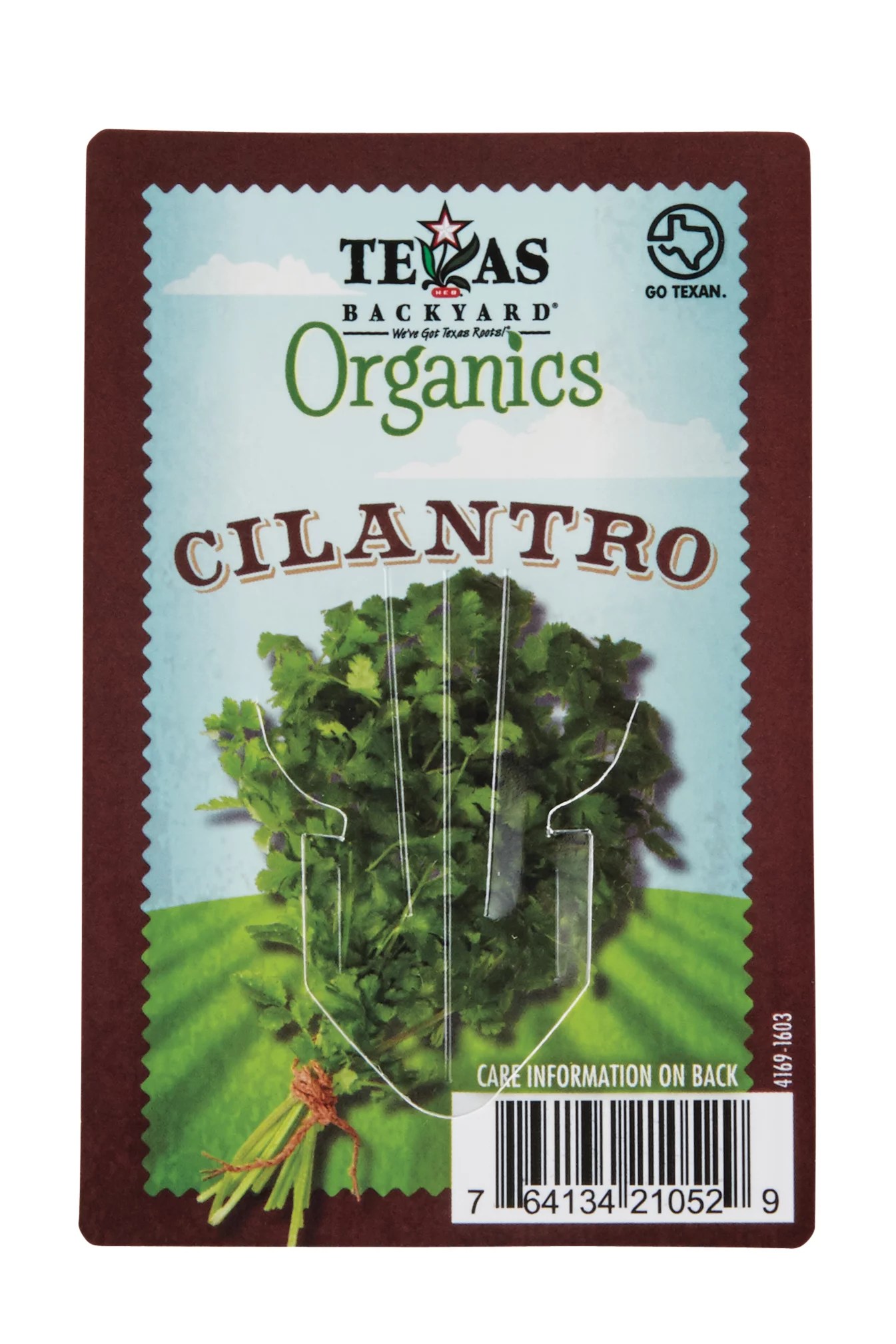 HEB Texas Backyard Organic 4 Inch Cilantro Shop Patio & Outdoor at