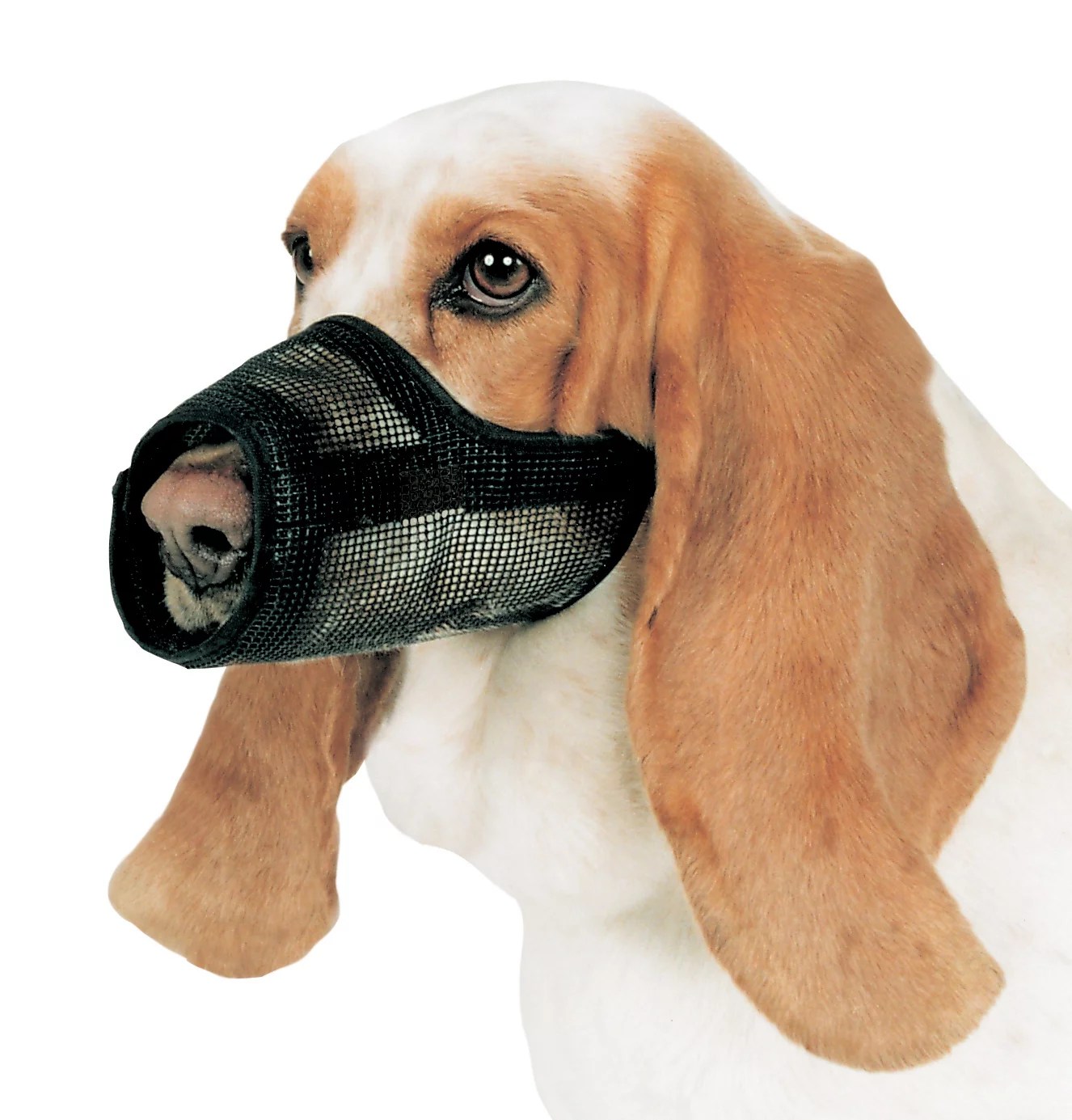 Coastal Pet Products Mesh Muzzle Size 5 Shop Dogs at HEB
