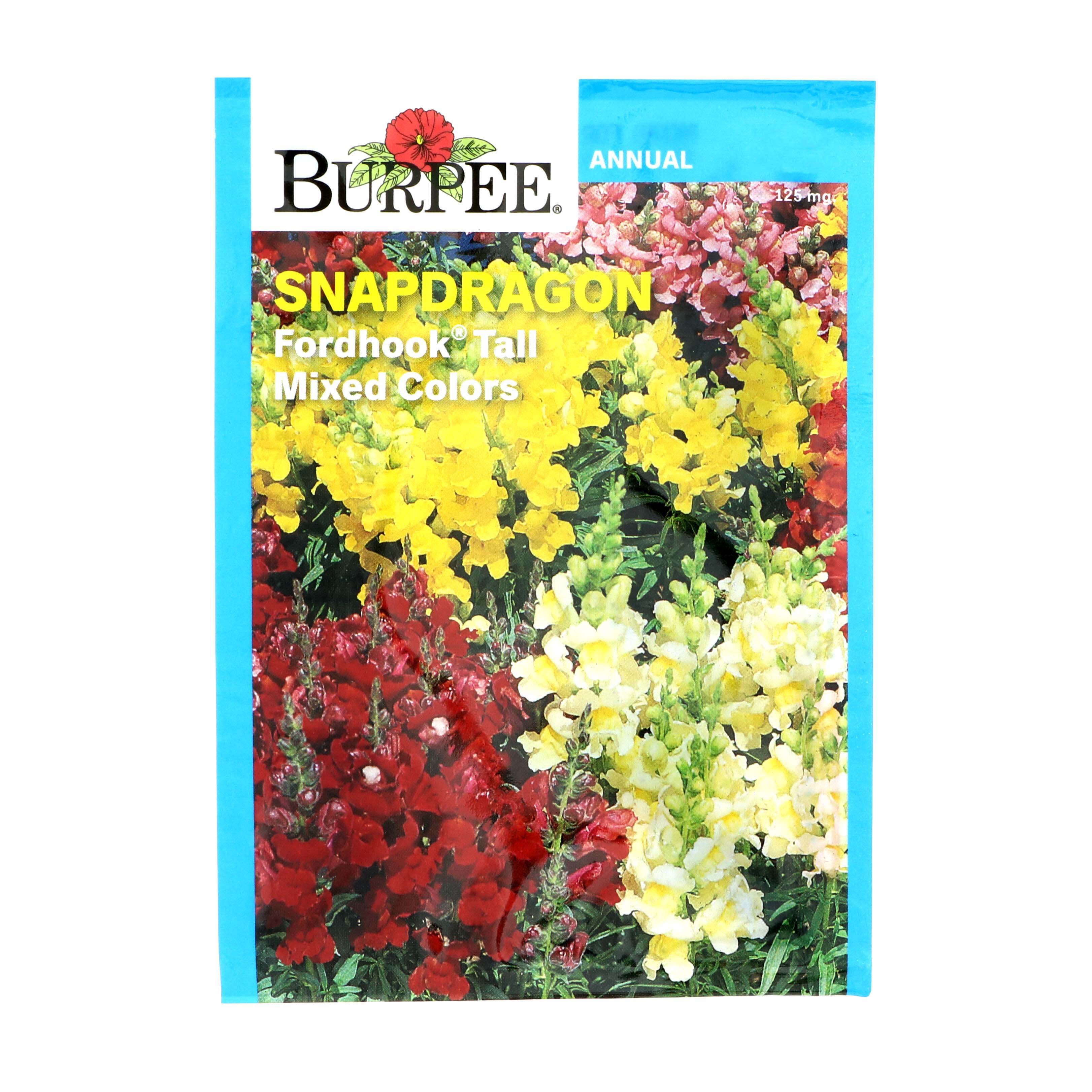 Burpee Snapdragon, Fordhook Tall Mixed Colors Seeds Shop Patio