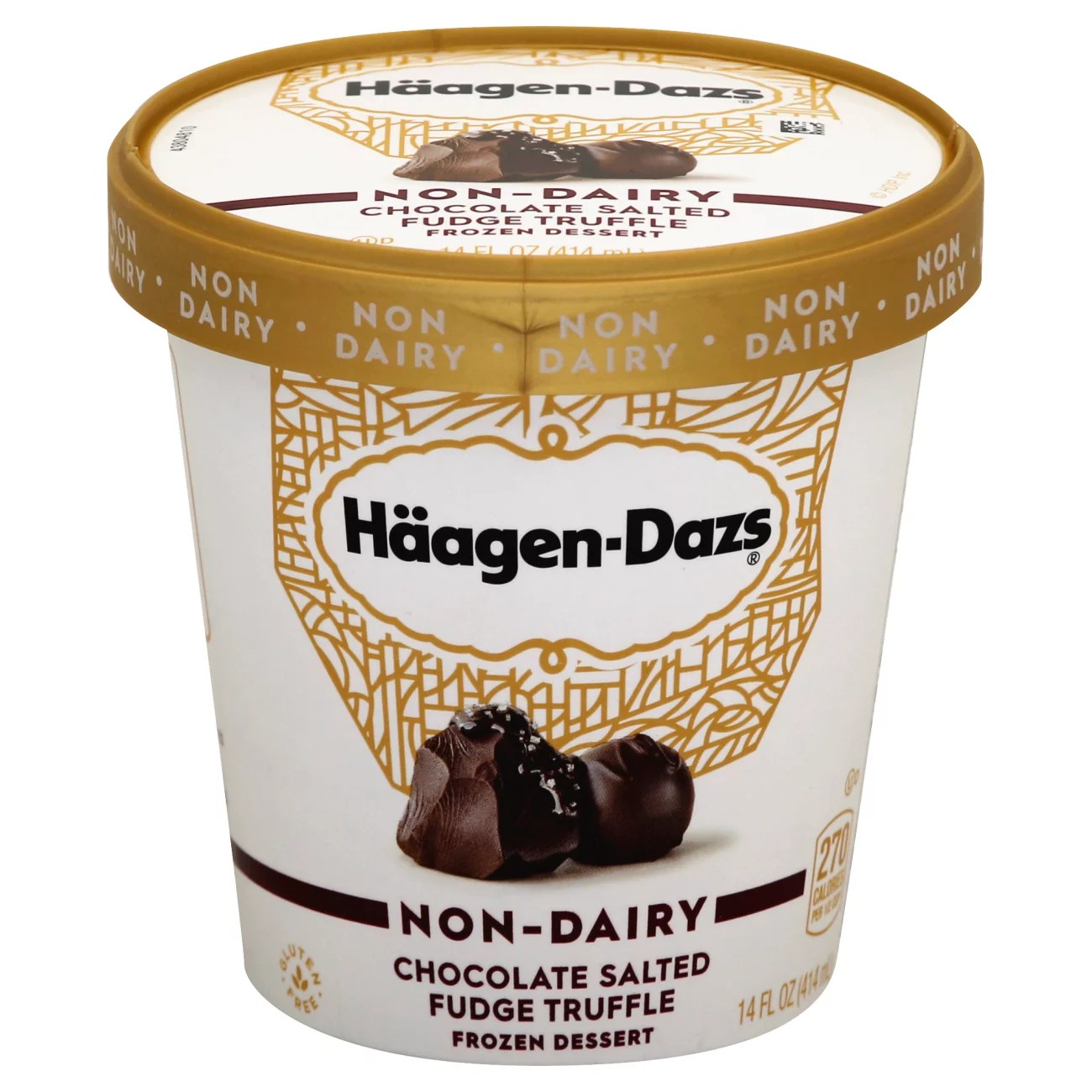 HaagenDazs NonDairy Chocolate Salted Fudge Truffle Frozen Dessert