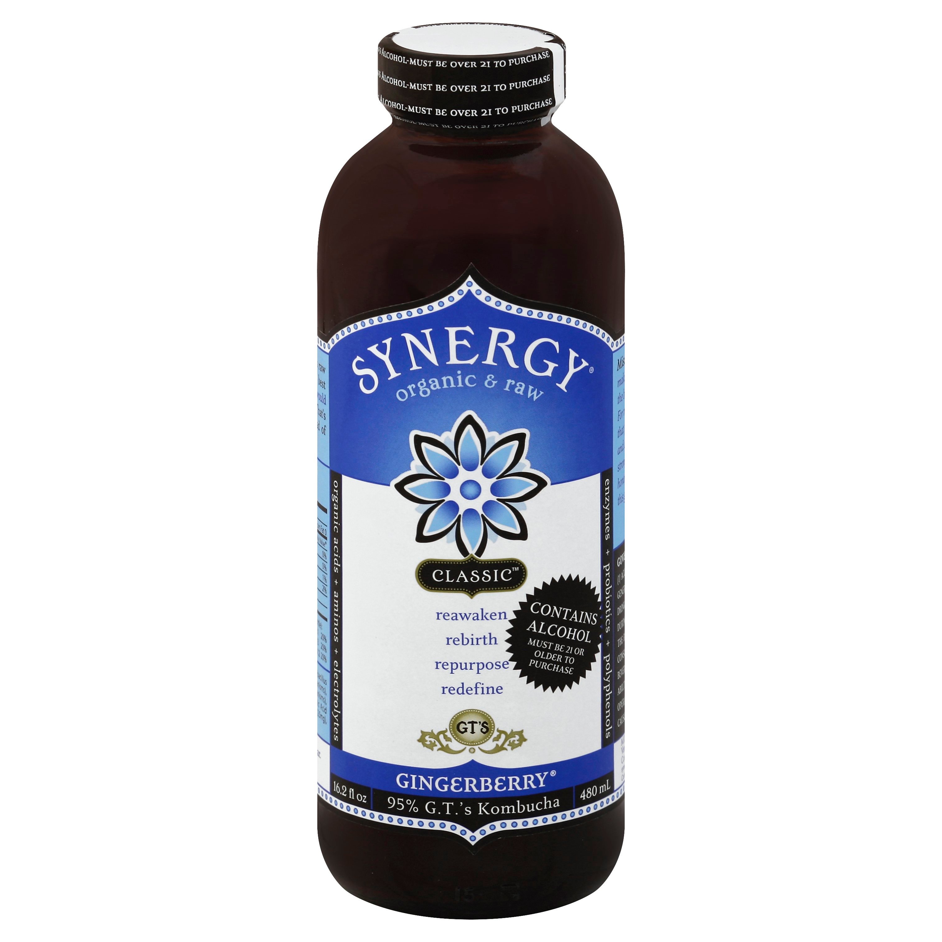 GT's Synergy Classic Gingerberry Organic Raw Kombucha Shop Malt