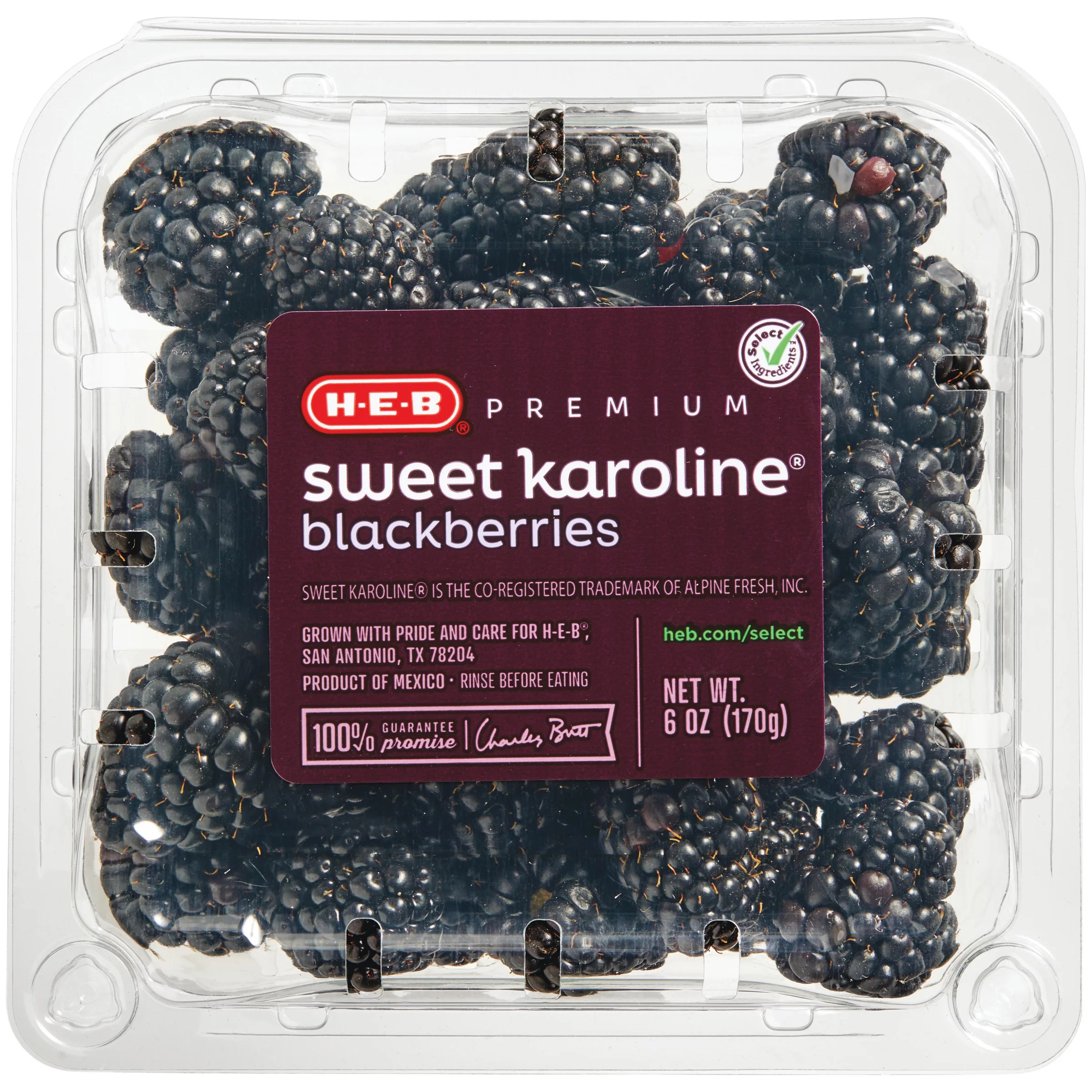Fresh Sweet Karoline Blackberries Shop Berries & Cherries at HEB