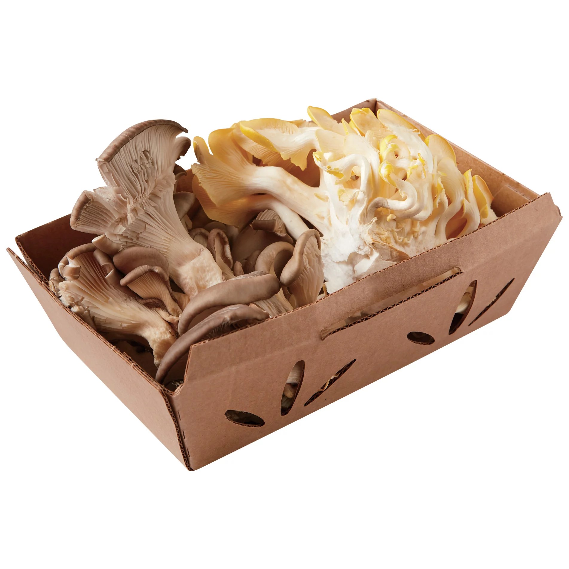 Smallhold Organic Mixed Oyster Mushrooms Shop Vegetables at HEB