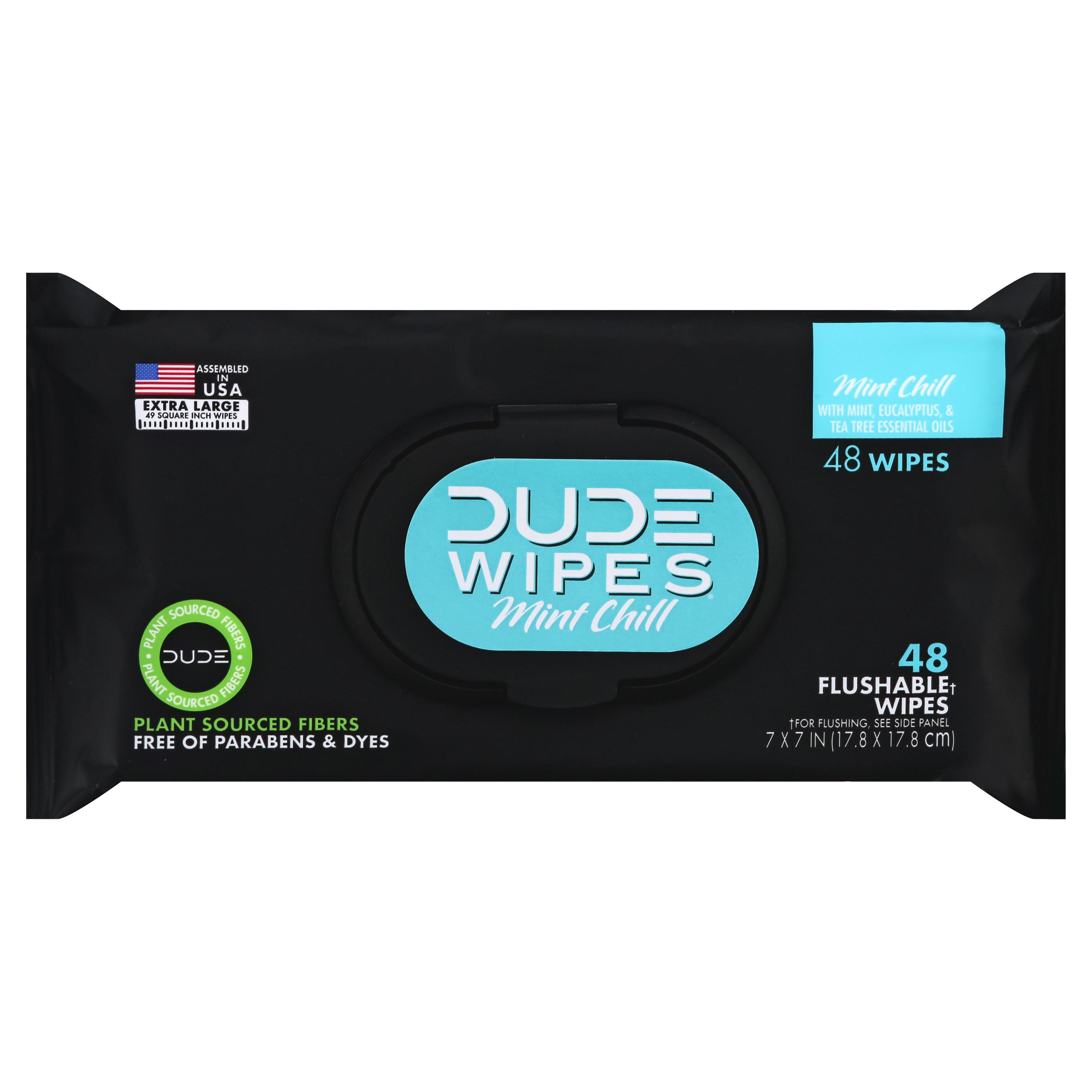 DUDE WIPES Mint Chill XL Flushable Wipes Shop Toilet paper at HEB