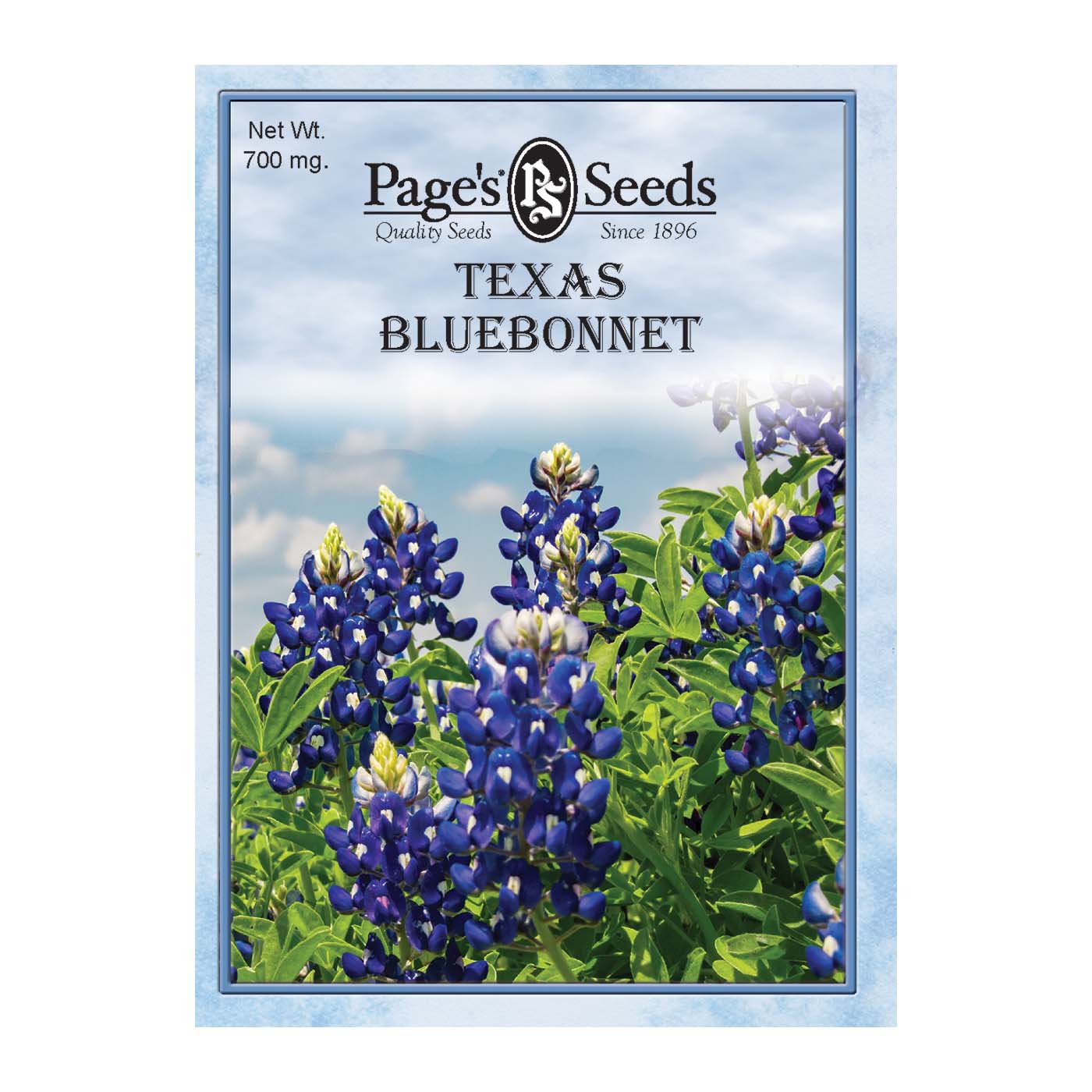 Page's Seeds Texas Flower Seed Packet Shop Patio & Outdoor