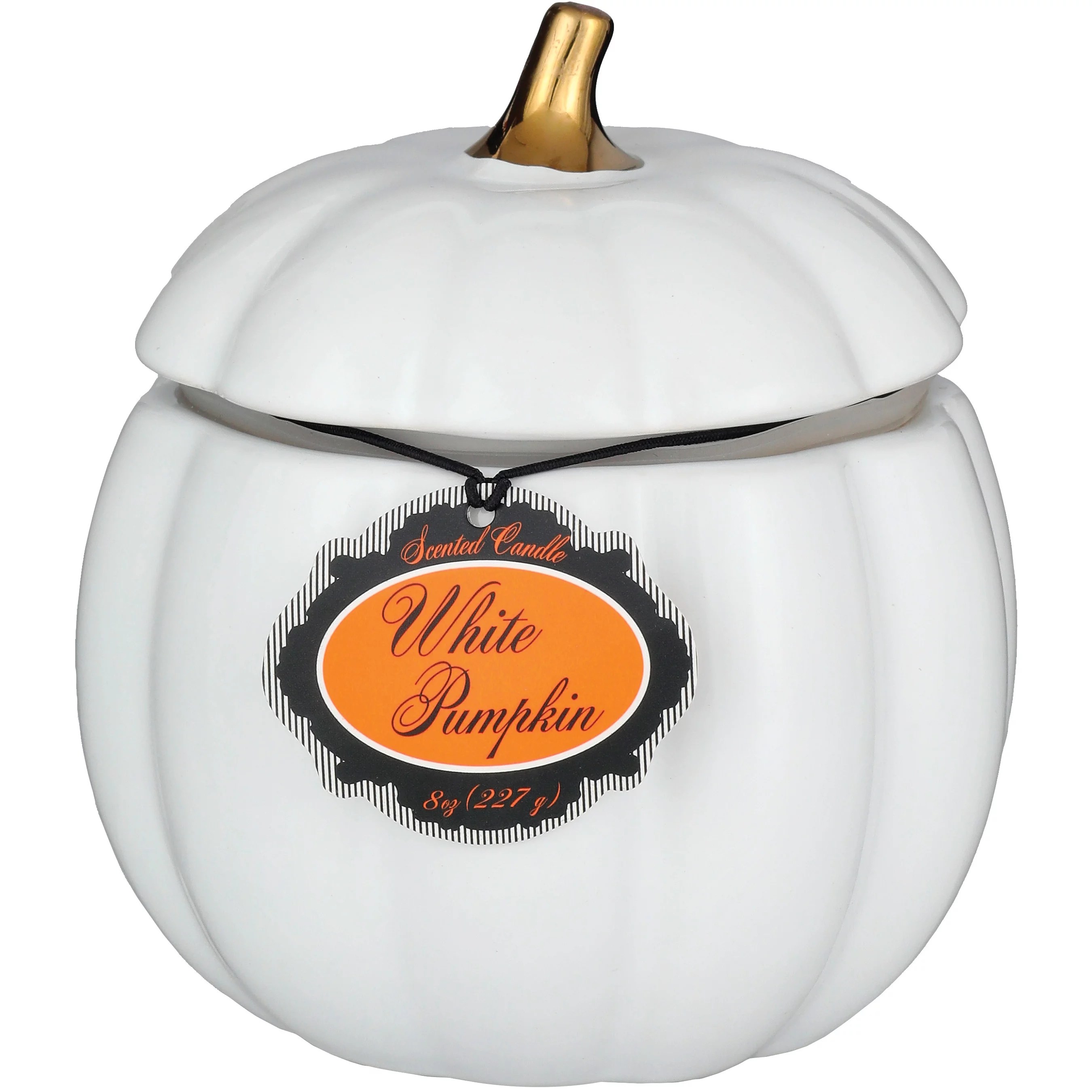 Destination Holiday White Pumpkin Scented Fall Ceramic Candle Shop Candles at HEB