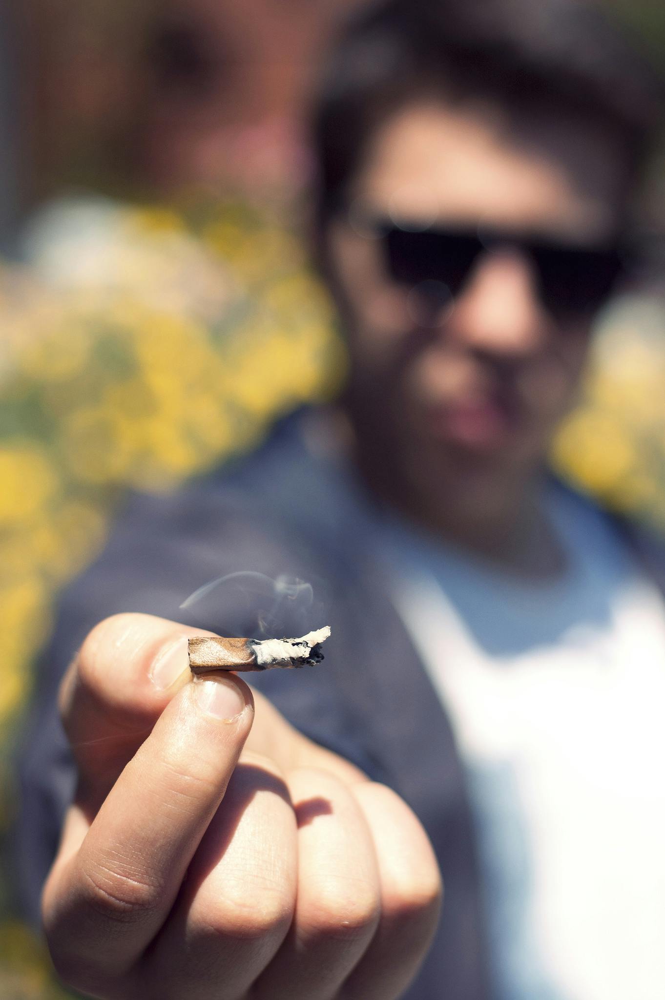 Tips for Rolling Better Joints Herb
