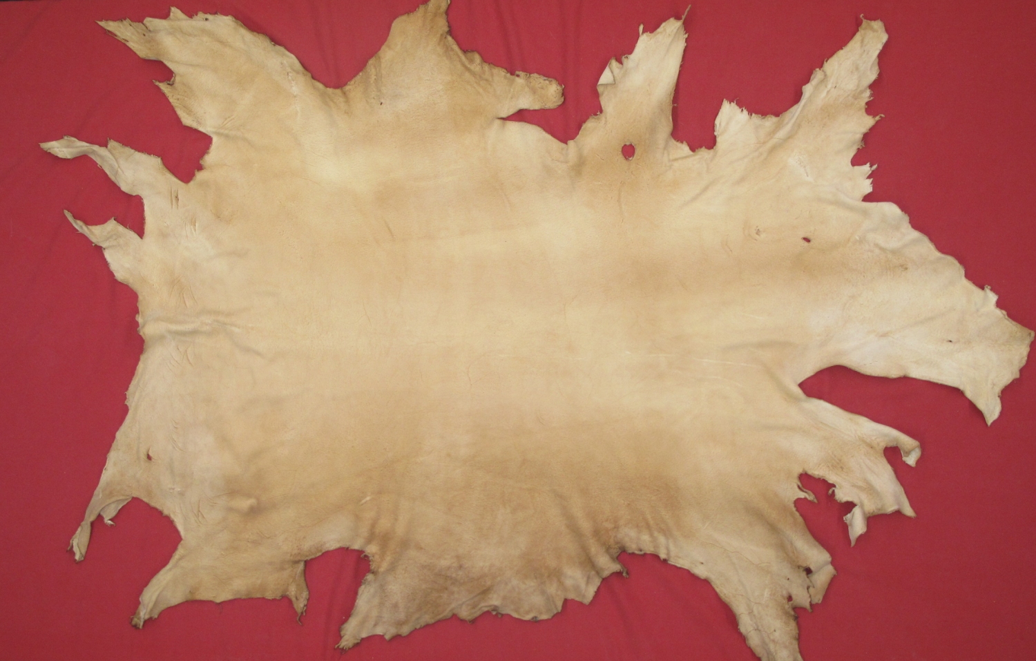 Buckskin and Leather DEER BRAIN TANNED (07809995)