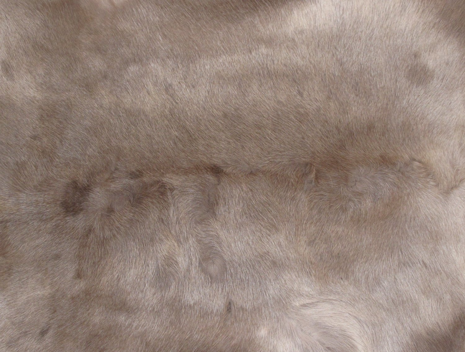 Tanned Furs CARIBOU / REINDEER (62200247)
