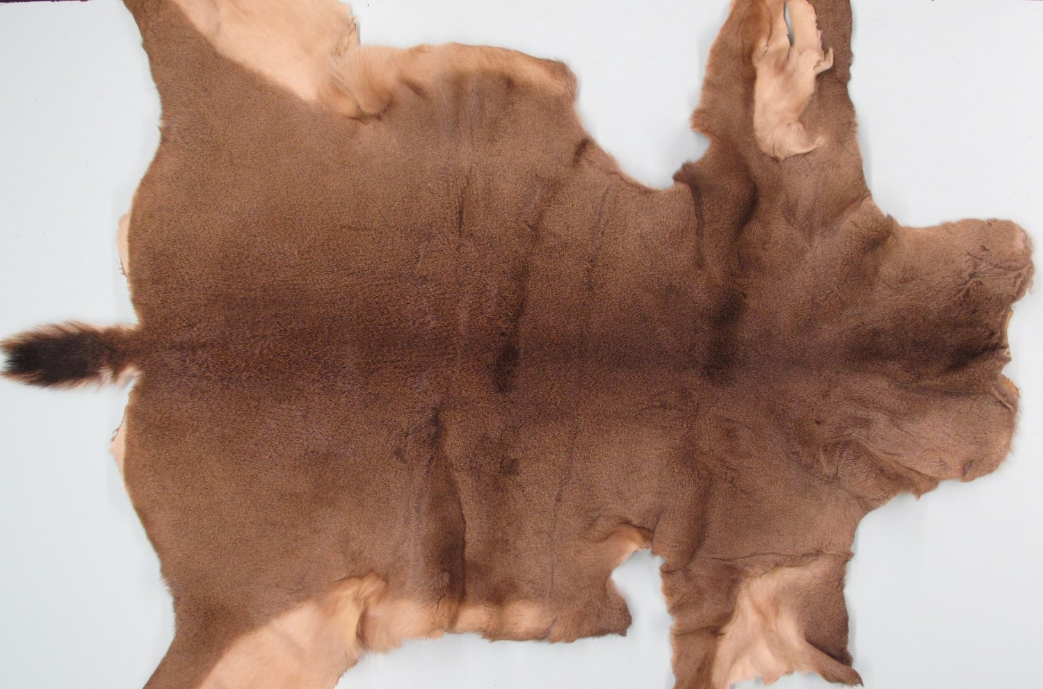 Tanned Furs BLACK TAIL DEER HIDES (63729945)