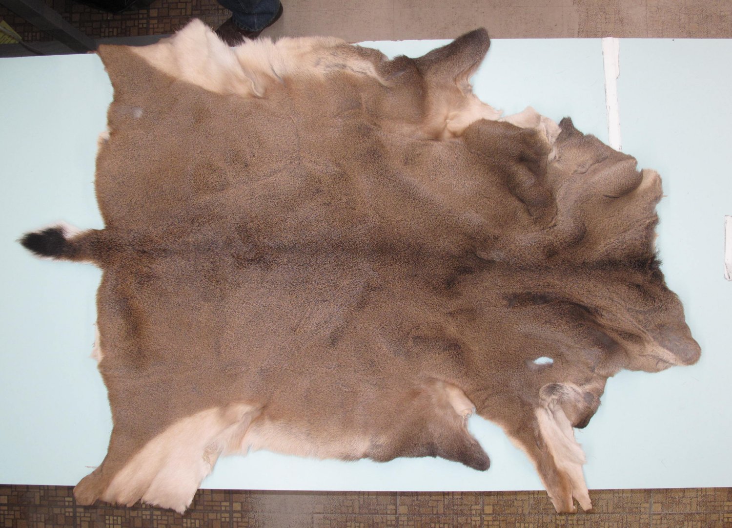 Tanned Furs BLACK TAIL DEER HIDES (63729993)