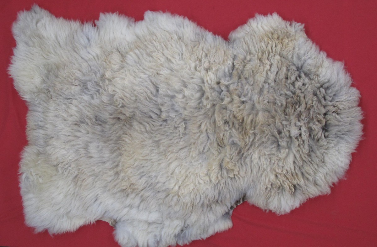 Tanned Furs DOMESTIC SHEEP REGULAR HIDES (73400245)