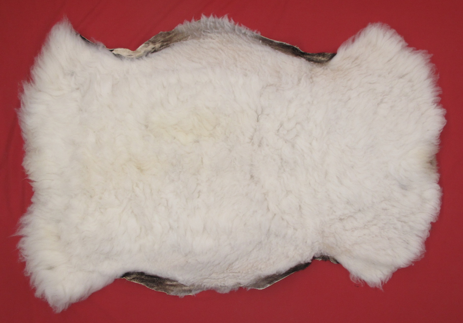 Tanned Furs DOMESTIC SHEEP REGULAR HIDES (73400342)