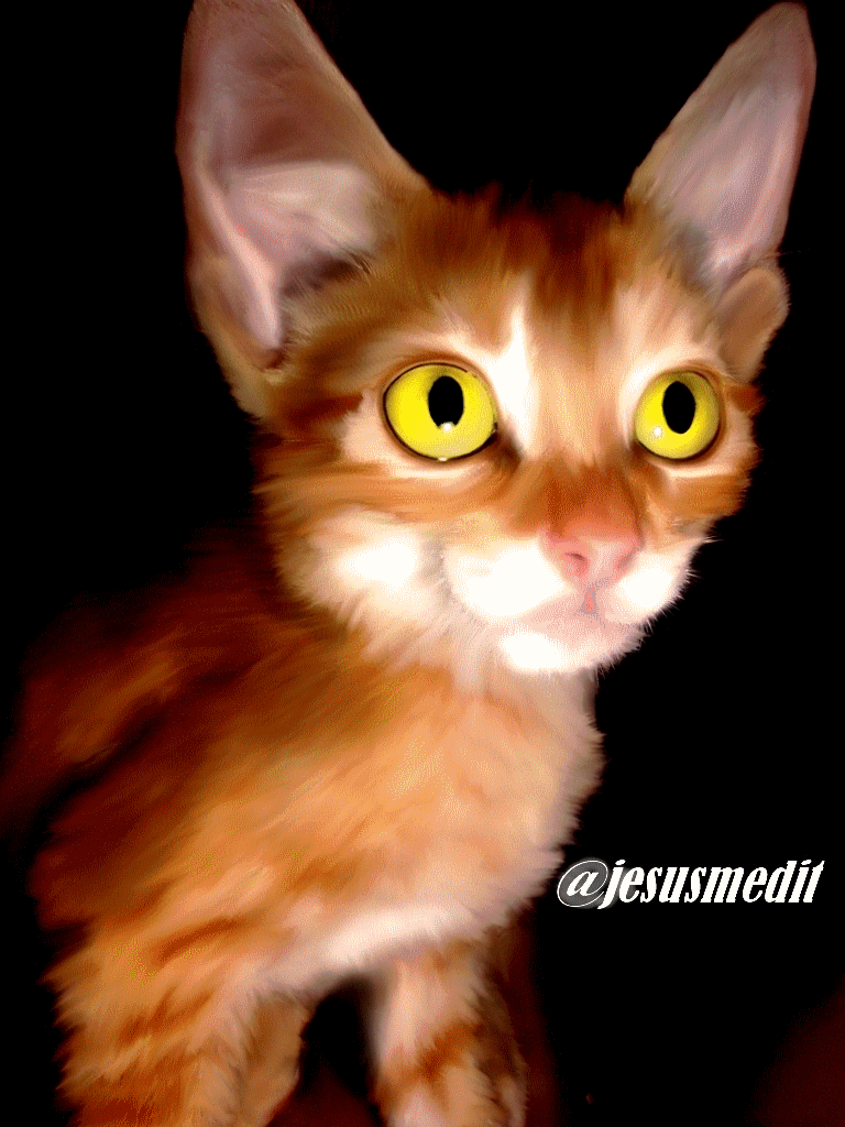 Miss You Very Much Gif The road to a friend's house is