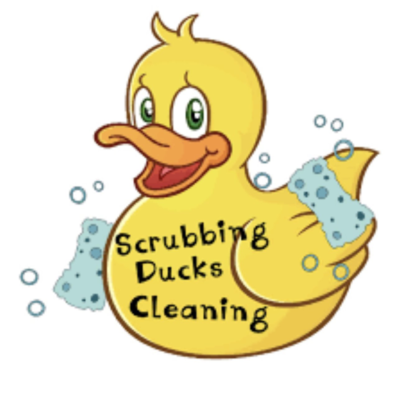 Duck Cleaning Service ??? 🦆 — Hive