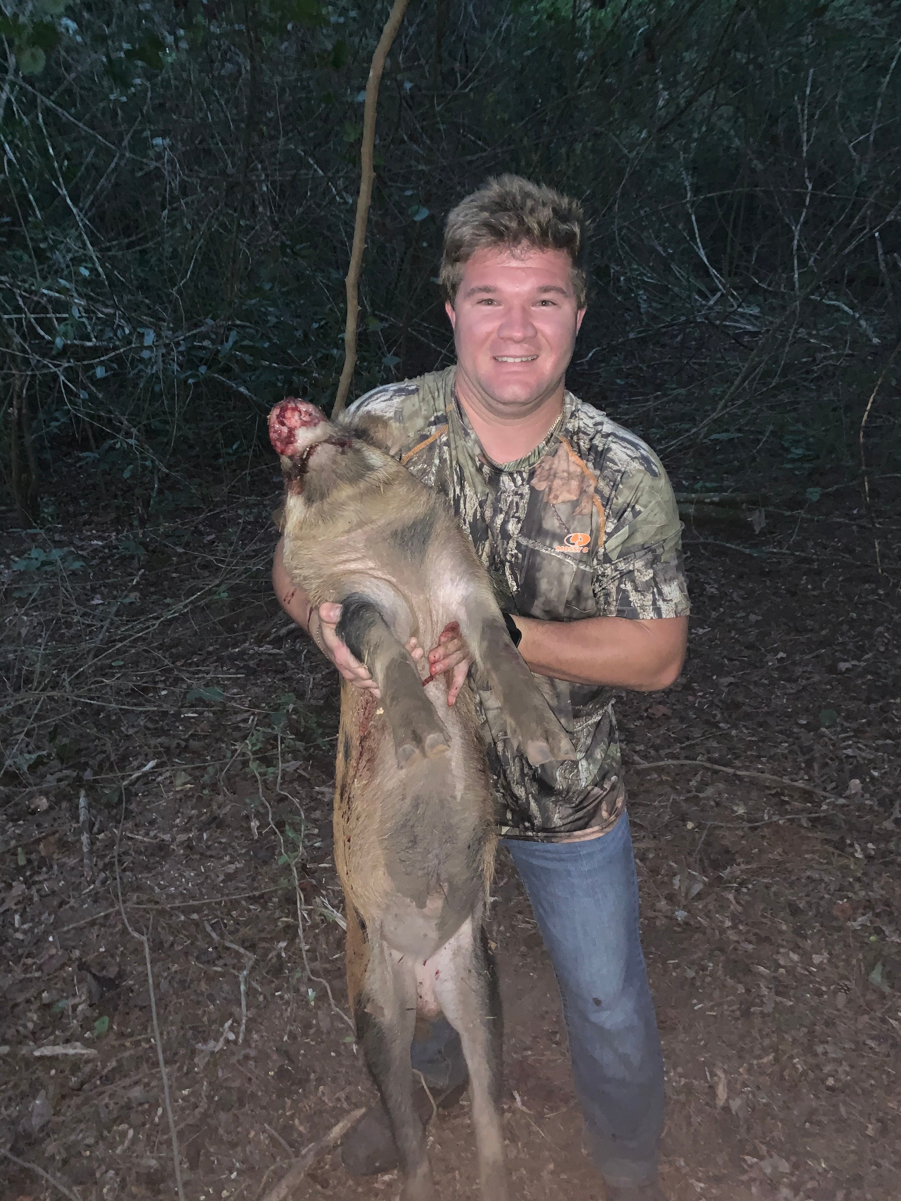 Early morning hunt. Image Gallery HOGMAN