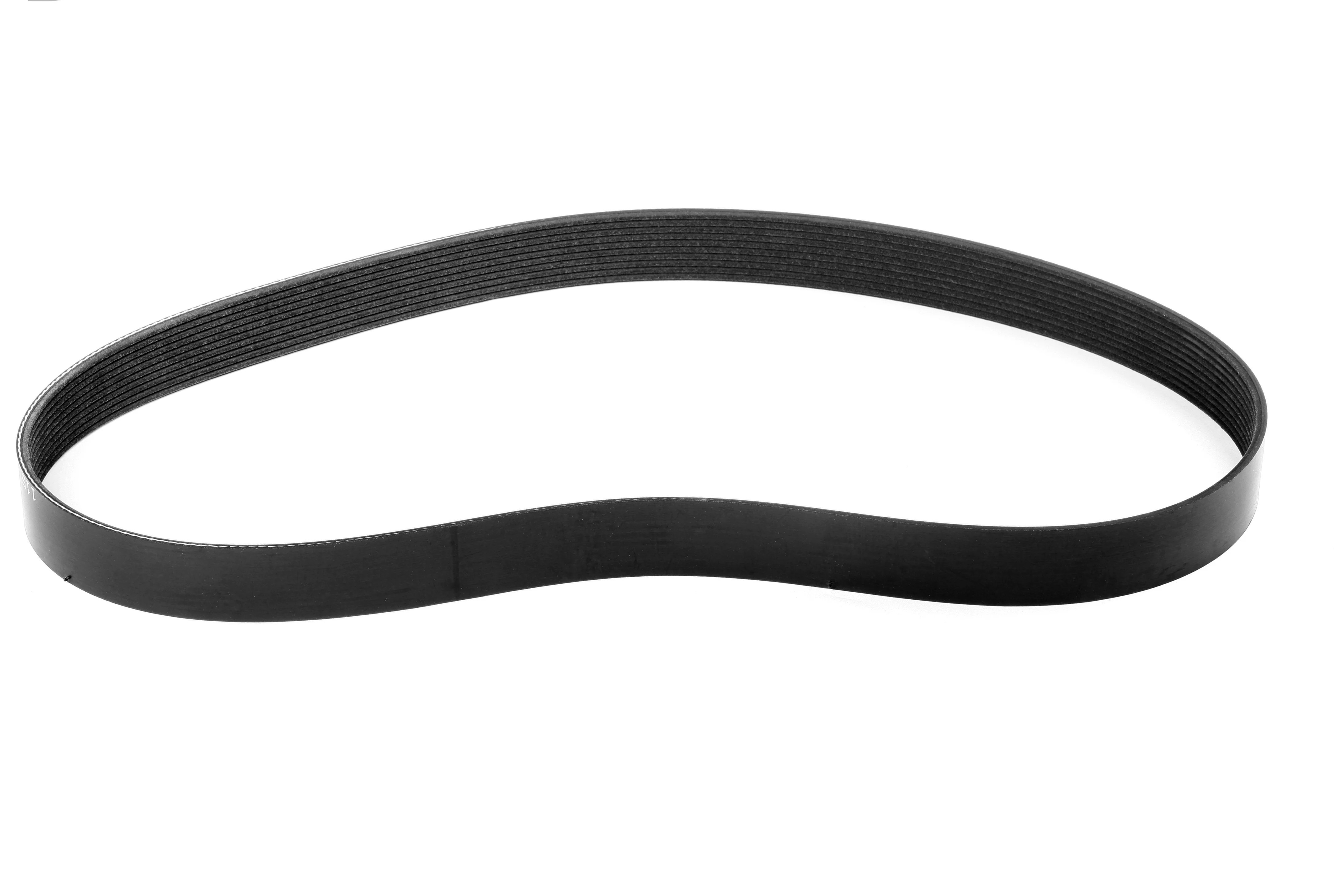 Weiand 91162 Weiand Supercharger Drive Belt 10Rib 48.25"