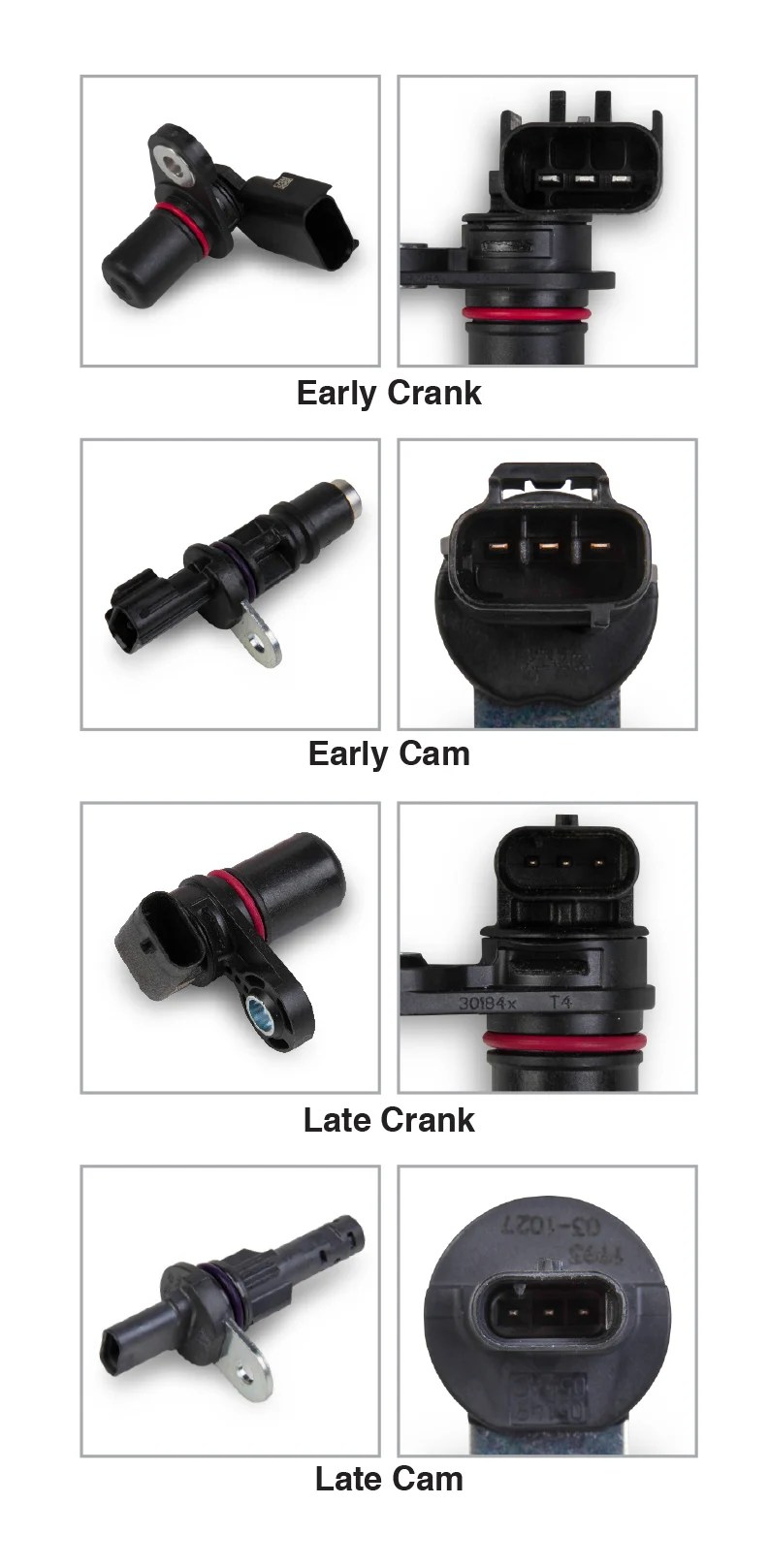 Holley EFI 558116 Gen III HEMI Main Harness , Late, w/TPS and Idle Air Control Connections