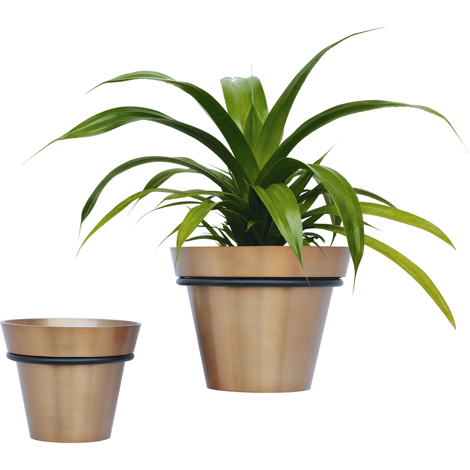 RenWil Roni Outdoor Vase Brass TPR/Black Powder Coated RWVASO150 at