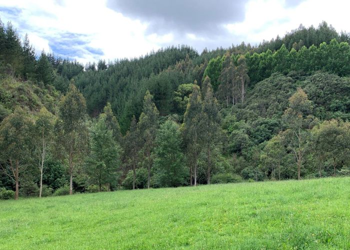 For sale 864 Puniwhakau Road, Stratford East, Stratford, Taranaki