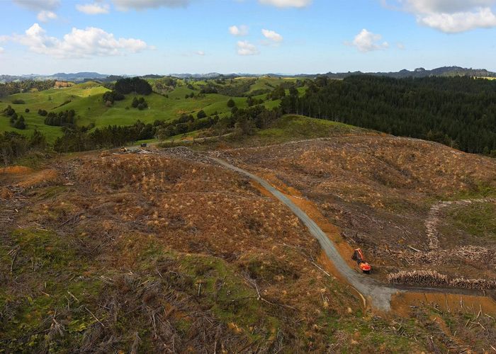 For sale Mason Road Forest, Waiotira, Whangarei, Northland homes.co.nz
