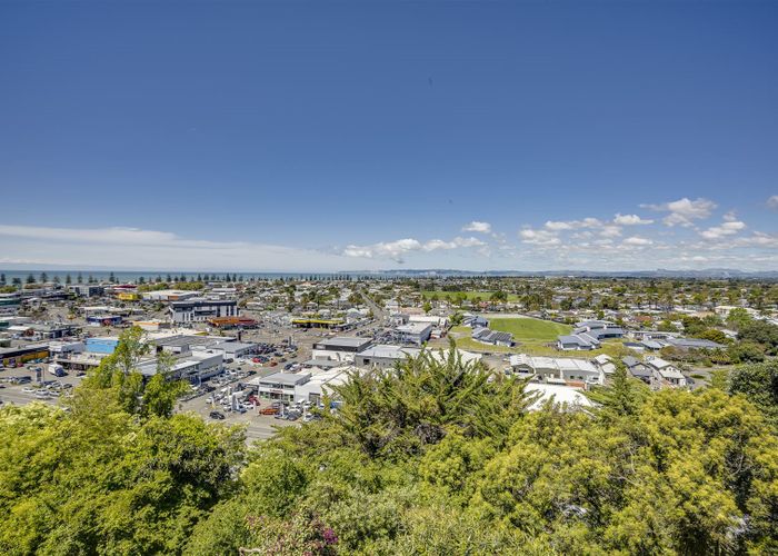 Free property data for 32 May Avenue, Hospital Hill, Napier homes.co.nz