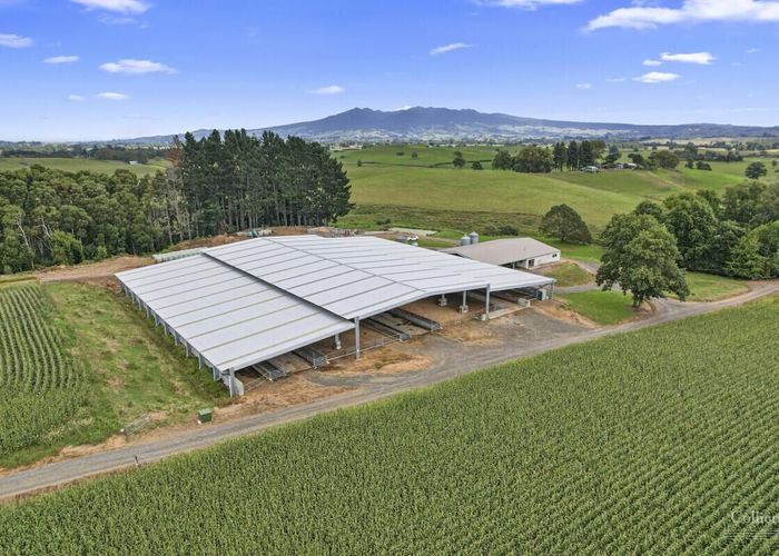 For sale 248 Gillard Road, Ngahinapouri, Waipa, Waikato homes.co.nz