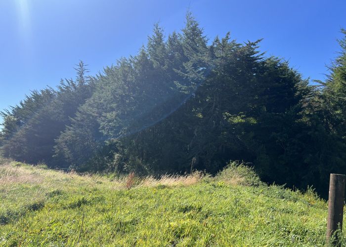 For sale 471 State Highway 7, Greymouth, Grey, West Coast homes.co.nz