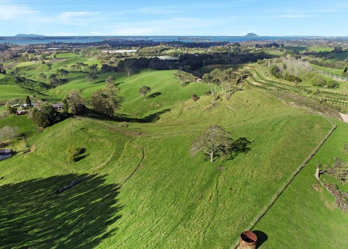For sale 163 Waipapa Block Road, Whakamarama, Western Bay Of Plenty