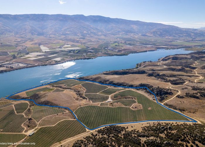 For sale 286 Lakefront Terrace, TarrasCromwell Road, Cromwell, Central Otago, Otago homes.co.nz