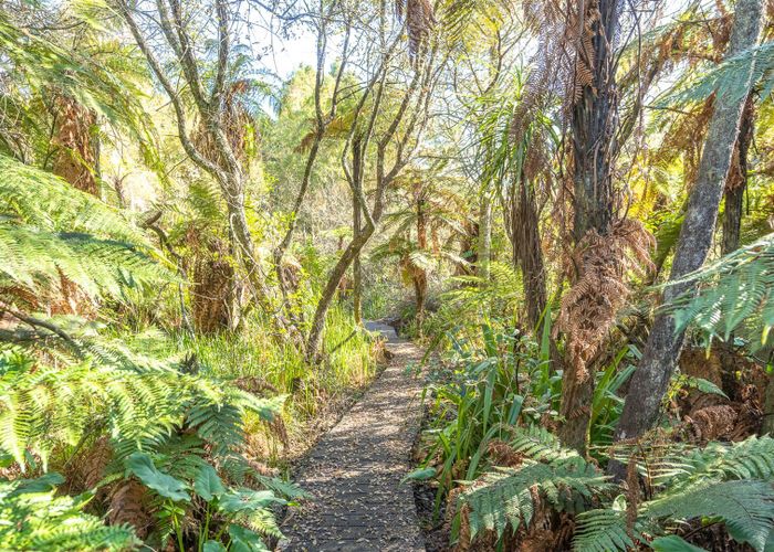 Recently sold 13 Willow Brook Lane, Te Kowhai homes.co.nz