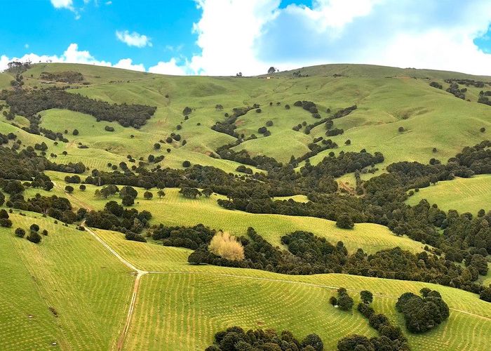 For sale Aranga Forest, Dargaville, Kaipara, Northland homes.co.nz