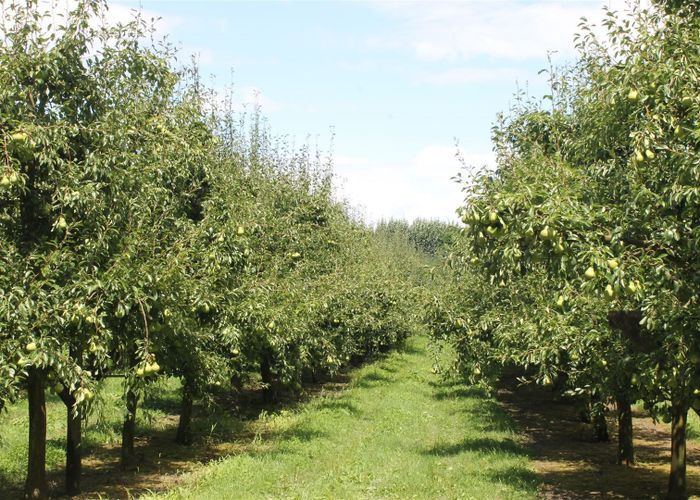 For sale 0 Hoggs Road, Manakau, Levin, Horowhenua, Manawatu