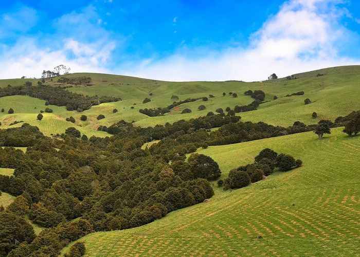 For sale Aranga Forest, Dargaville, Kaipara, Northland homes.co.nz