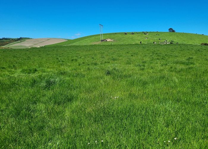 For sale 831 Smiths Track, Balclutha, Clutha, Otago homes.co.nz