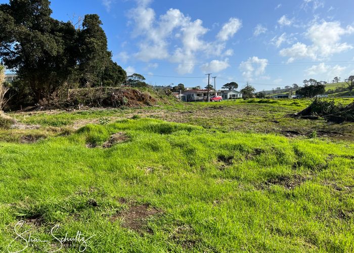 Free property data for 99 Komiti Road, Tinopai homes.co.nz