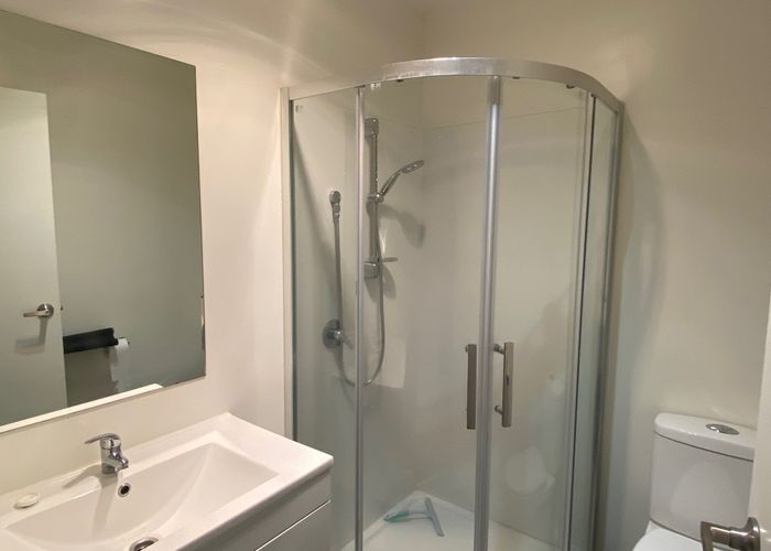 For rent 4/5 Rm A Edgecumbe Street, Whitiora, Hamilton, Waikato