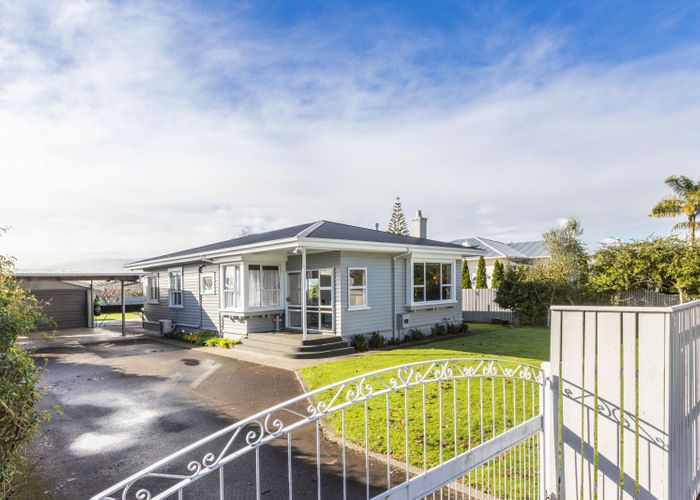 Recently sold 1009 Plunket Street, Saint Leonards, Hastings homes.co.nz