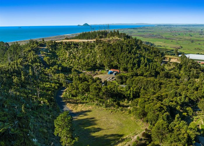 For sale 197 Kokako Heights, Matata, Whakatane, Bay Of Plenty homes