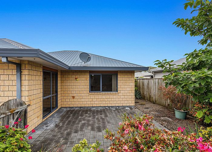 Free property data for 33A Nelson Street, Whakatane homes.co.nz