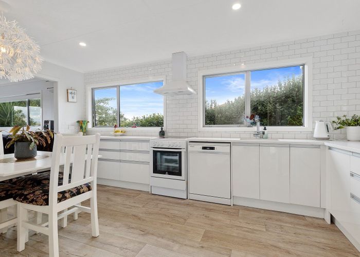 Free property data for 17 Puriri Street, Te Aroha homes.co.nz