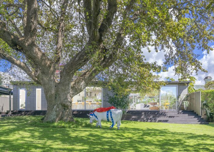 Free property data for 3 Finch Street, Morningside, Auckland homes.co.nz