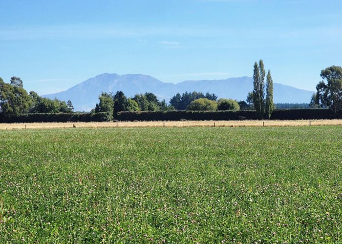 For sale Tripp Settlement Road, Geraldine, Timaru, Canterbury homes